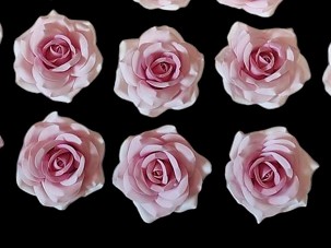 Cukor rózsa 8 cm blushpink színben