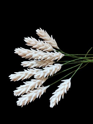 Pointed grass