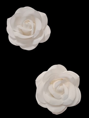 Cukor rózsa 5-6 cm fehér színben